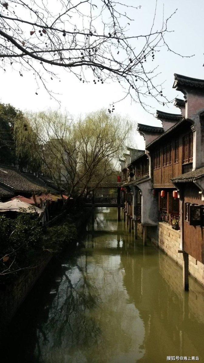 【代表委员访谈】80后“茶博士”胡歆:文化铸魂引领陕茶高质量发展